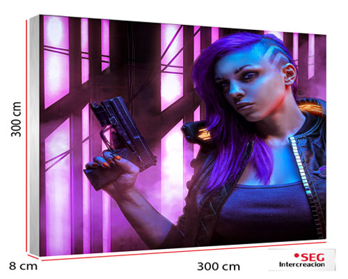 seg-fabric-frames-single-sided