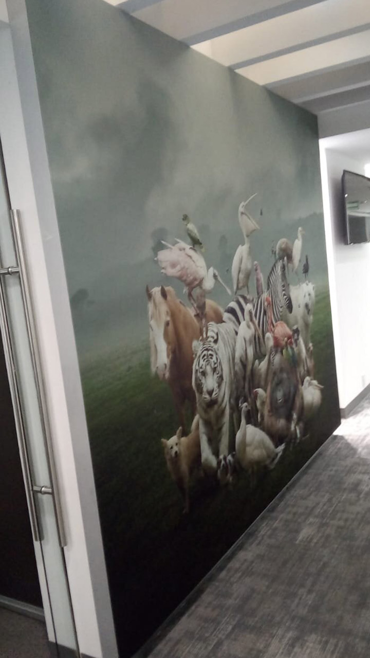 retail store signage fabric silicone edge frameless SEG LED